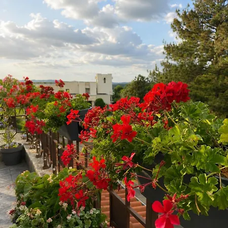 Park 4* Arbanasi
